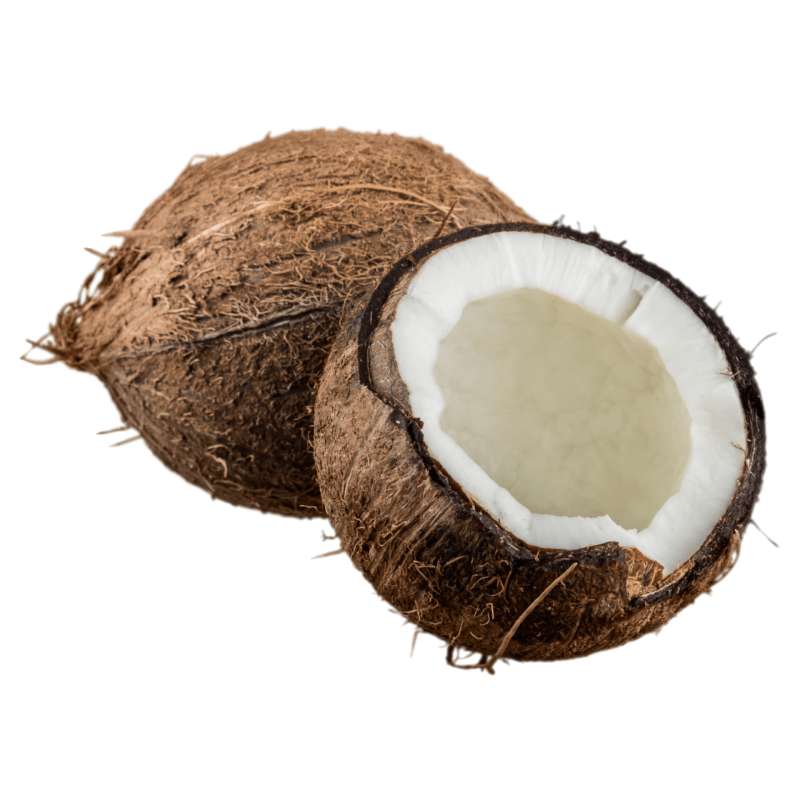Coconut Big தேங்காய் 1